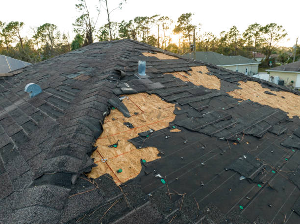 Best Roof Leak Repair  in Kerens, TX